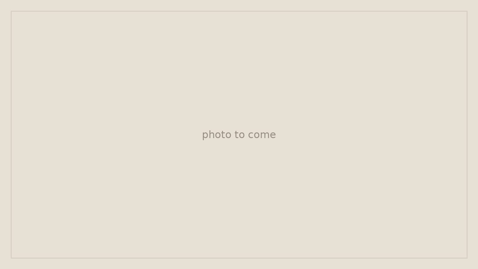 Placeholder photo